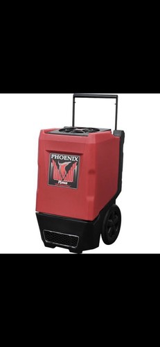 Phoenix restoration r250 - phoenix,